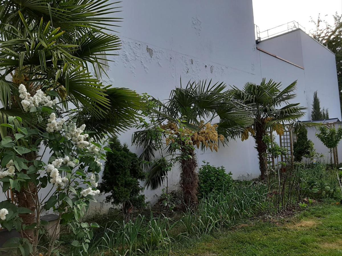 Apartment 3 Private Shared Flat In A At Sceaux 600m Rer B Direct To Notre-dame Sceaux (Hauts-de-Seine)
