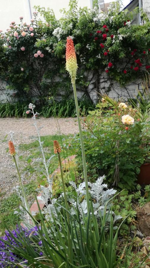 3 Private Shared Flat In A At Sceaux 600m Rer B Direct To Notre-dame * Sceaux (Hauts-de-Seine)